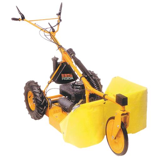 lawnmower - brush cutter AS 28/2T