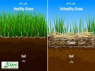 کاهپوش در مقابل چمن سالم