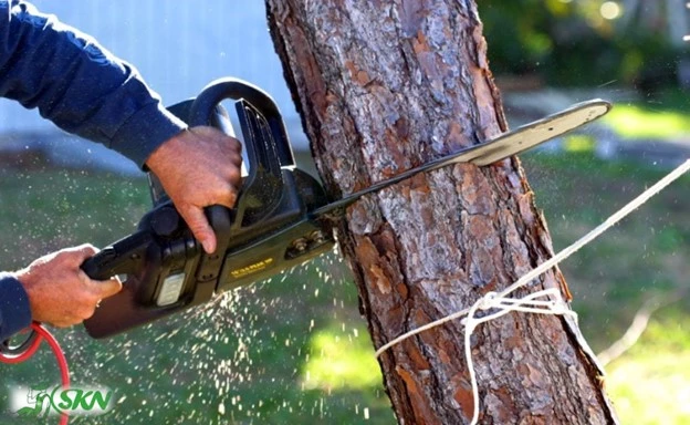 cutting sideways +  برش های جانبی چوب