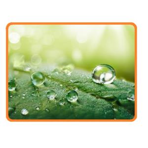 محلول پاشی و تغذیه از طریق برگ