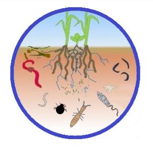 عملیات زراعی و اثر آن بر مهندسین اکوسیستم خاک  